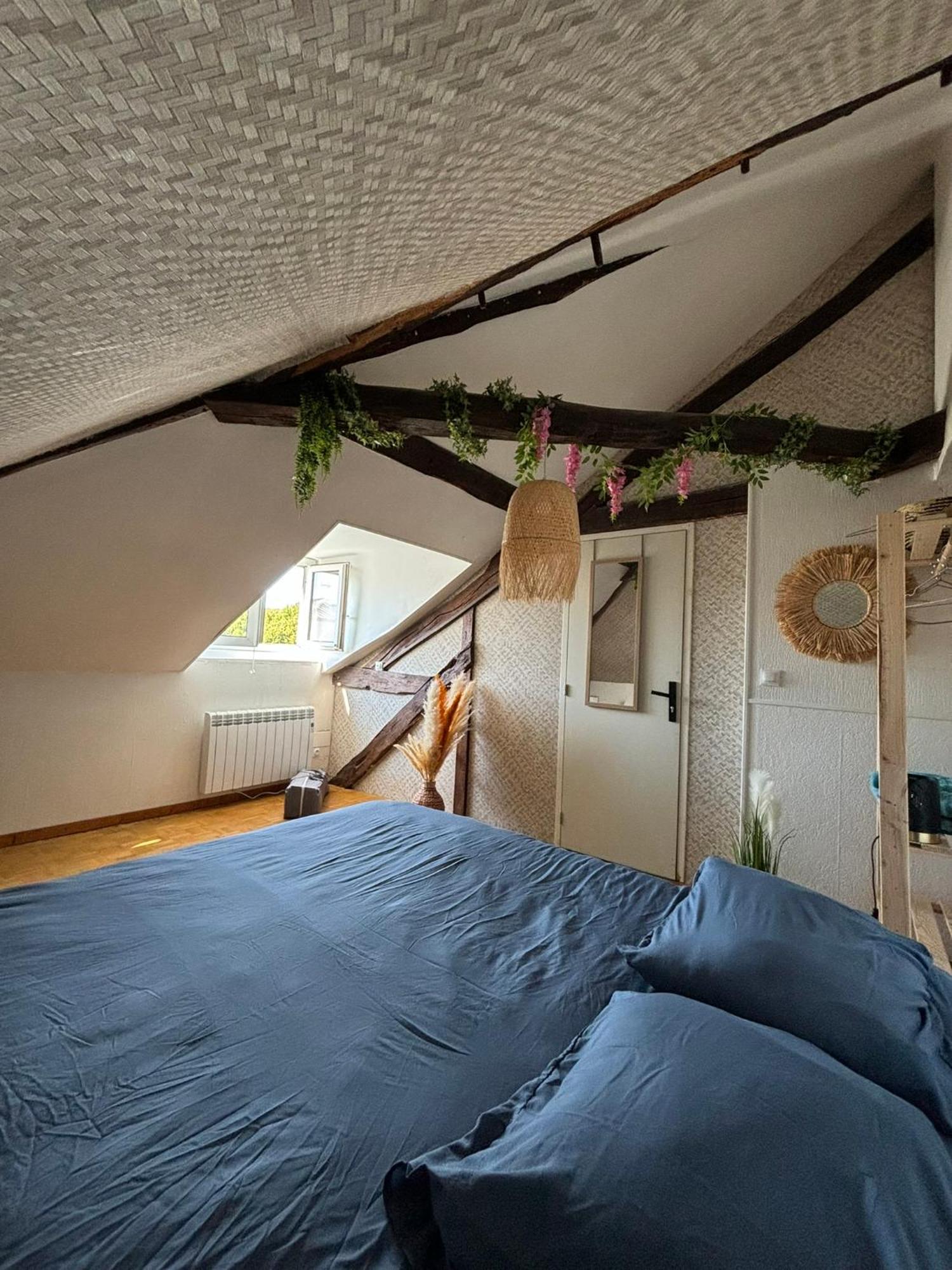 Jungle Cosy Lägenhet Louviers Exteriör bild