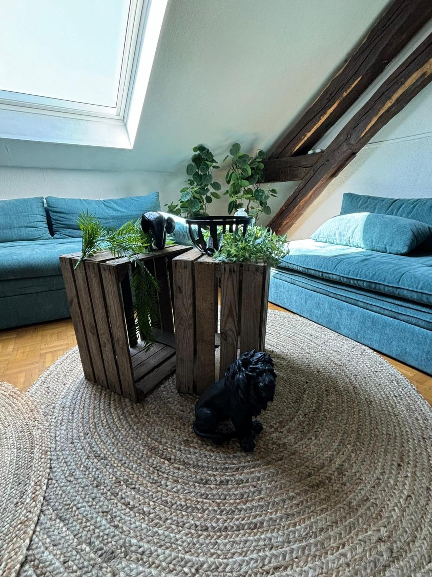 Jungle Cosy Lägenhet Louviers Exteriör bild